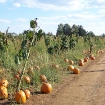 2007-10-13 (015).jpg